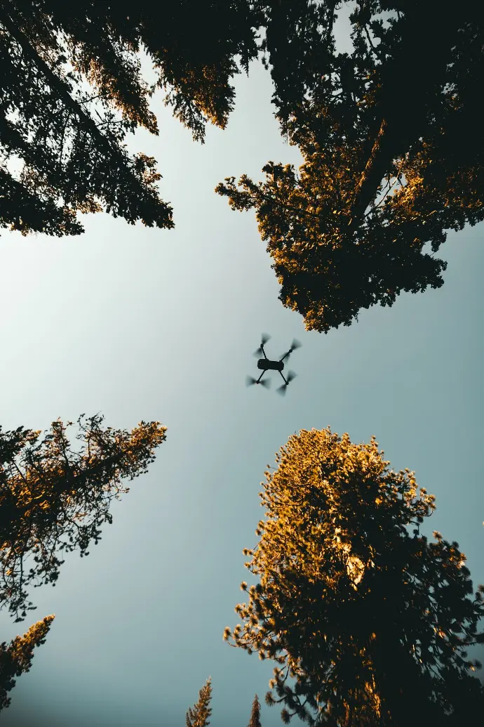 Drone volant au-dessus d'une forêt, symbolisant l'importance des prises de vue aériennes immersives et dynamiques pour capturer des paysages à couper le souffle.
